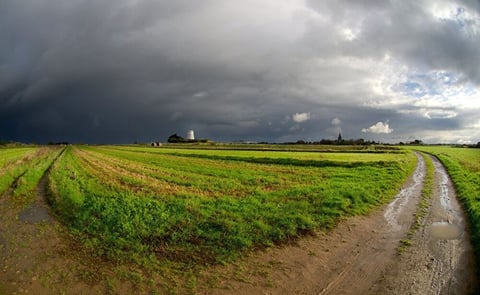 Islanders (Jersey) have grown used to seeing dark skies and saturated fields. Islanders (Jersey) have grown used to seeing dark skies and saturated fields.
