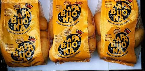 La crisis de la guerra aumenta la demanda de patatas en Italia.
