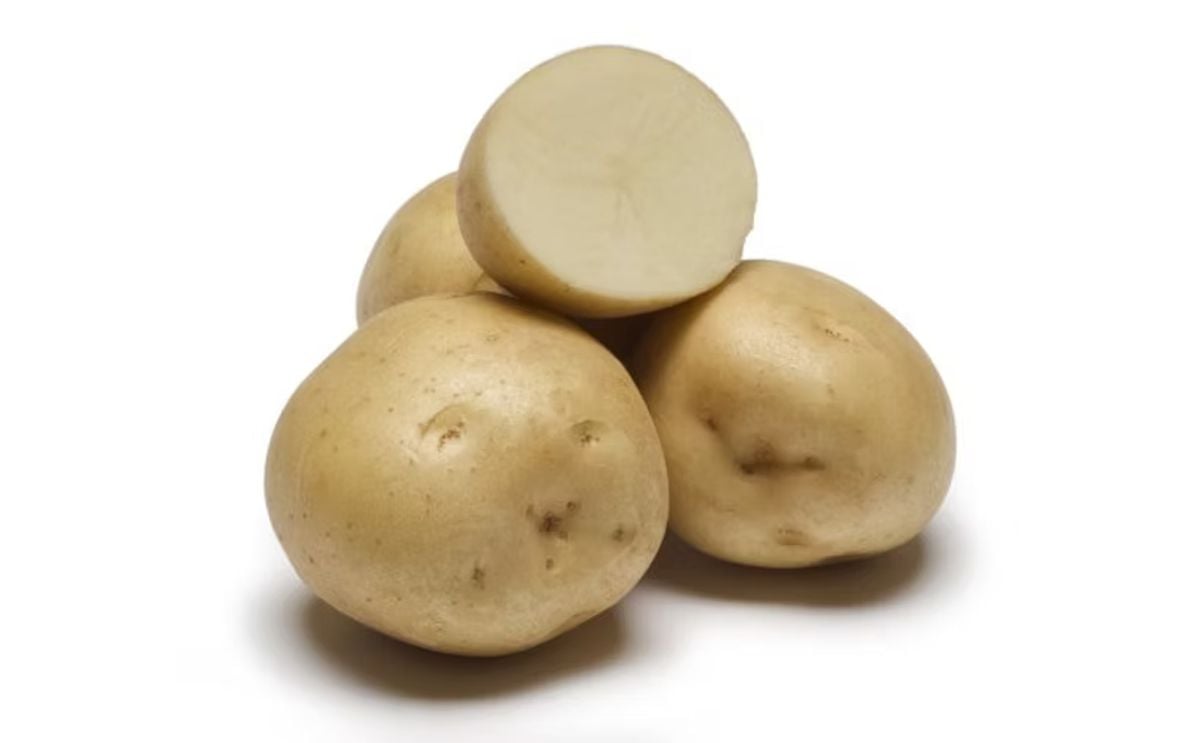 IVORY CRISP