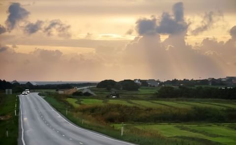 Potato trouble in Norway Potato trouble in Norway