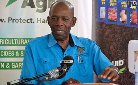 Minister without Portfolio in the Ministry of Industry, Commerce, Agriculture and Fisheries of Jamaica, Hon. J.C. Hutchinson, makes his address at the launch of the H&L Agro’s Duwest soluble crop nutrition line, at the Junction Guesthouse Auditorium in Minister without Portfolio in the Ministry of Industry, Commerce, Agriculture and Fisheries of Jamaica, Hon. J.C. Hutchinson, makes his address at the launch of the H&L Agro’s Duwest soluble crop nutrition line, at the Junction Guesthouse Auditorium in