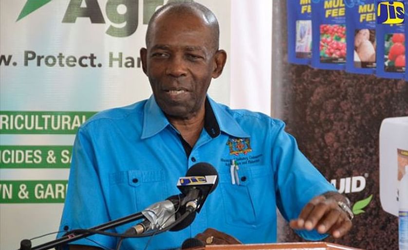 Minister without Portfolio in the Ministry of Industry, Commerce, Agriculture and Fisheries of Jamaica, Hon. J.C. Hutchinson, makes his address at the launch of the H&L Agro’s Duwest soluble crop nutrition line, at the Junction Guesthouse Auditorium in 