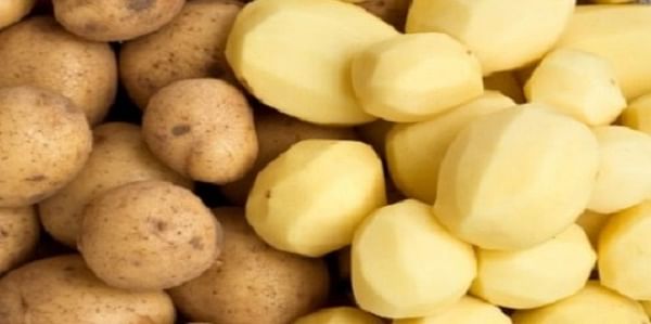 Jamaica to test 15 new (Irish) potato varieties