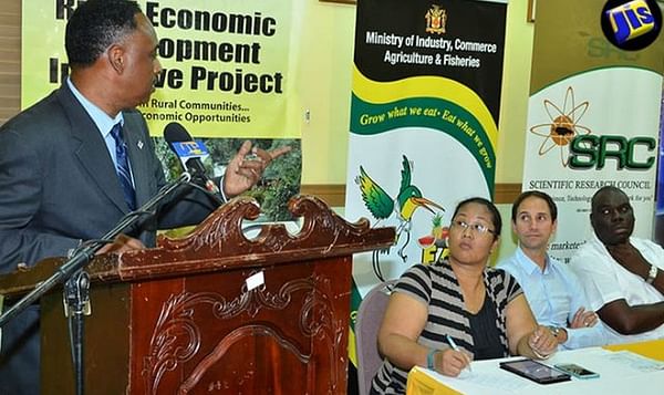 Jamaica&#039;s capacity to produce virus-free seed potatoes gets boost