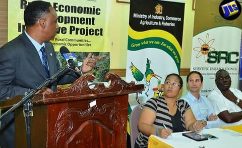 Managing Director at the Jamaica Social Investment Fund (JSIF), Omar Sweeney (at podium), delivers the keynote address at the launch of a $19-million programme to boost Jamaica’s capacity to produce clean Irish potato seedlings, on August 15 at the Scie Managing Director at the Jamaica Social Investment Fund (JSIF), Omar Sweeney (at podium), delivers the keynote address at the launch of a $19-million programme to boost Jamaica’s capacity to produce clean Irish potato seedlings, on August 15 at the Scie