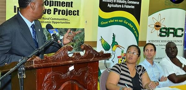 Jamaica&#039;s capacity to produce virus-free seed potatoes gets boost