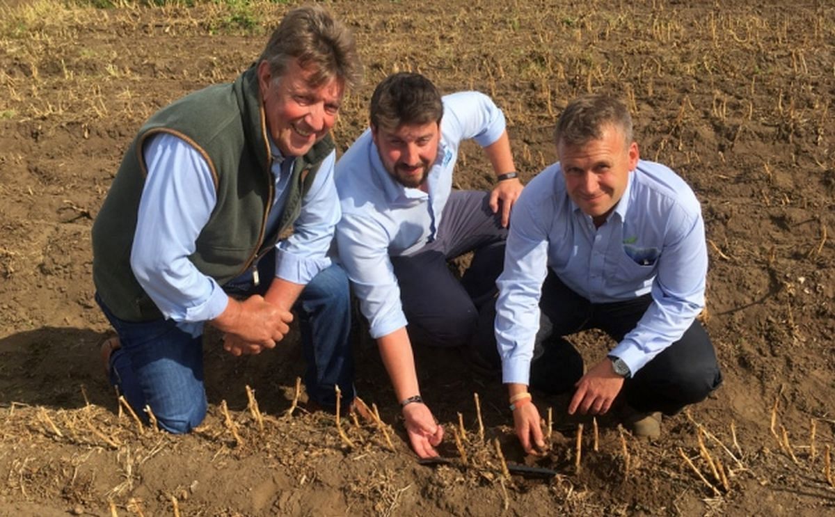 James Foskett, AHDB's David Wilson and farm manager Mike Shapland (Courtesy: Sarah Chambers | EADT)