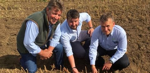 United Kingdom potato growers 'very worried' as homegrown crop shortage looms