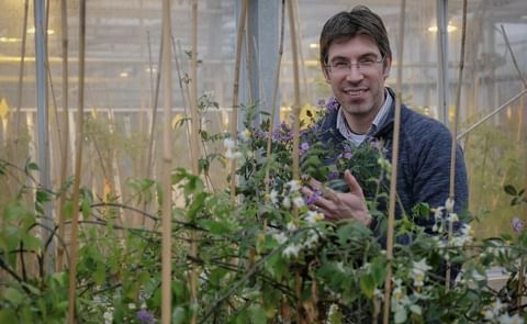 Dr Ingo Hein is a senior scientist based at the Cell and Molecular Sciences group of the James Hutton Institute Dr Ingo Hein is a senior scientist based at the Cell and Molecular Sciences group of the James Hutton Institute