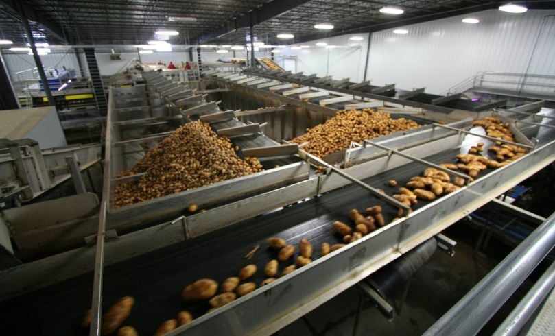 Food Material Handling • Robotic Palletizing • Conveying Food Material Handling • Robotic Palletizing • Conveying