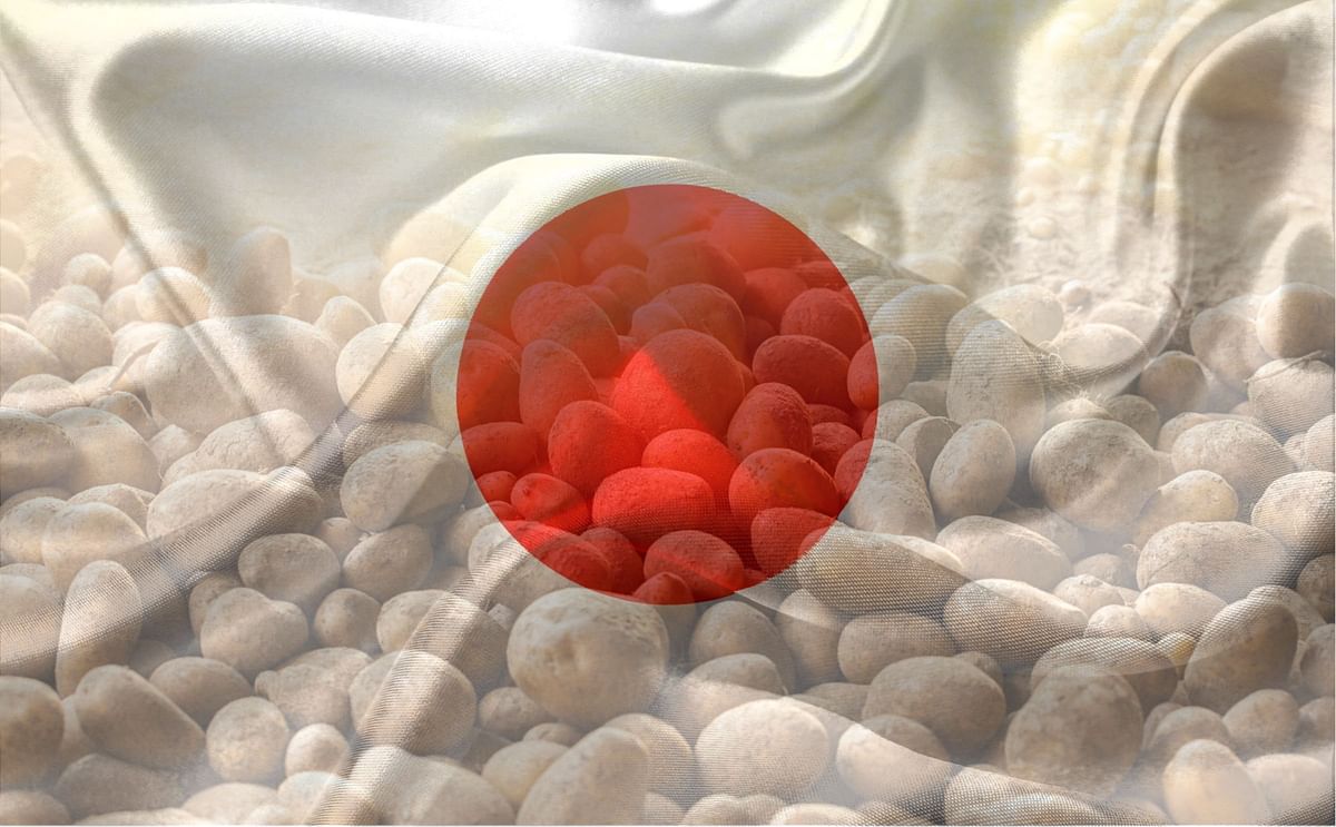 Japan sets safe residue level for 1,4SIGHT® in potatoes, paving the way for optimized storage practices worldwide.