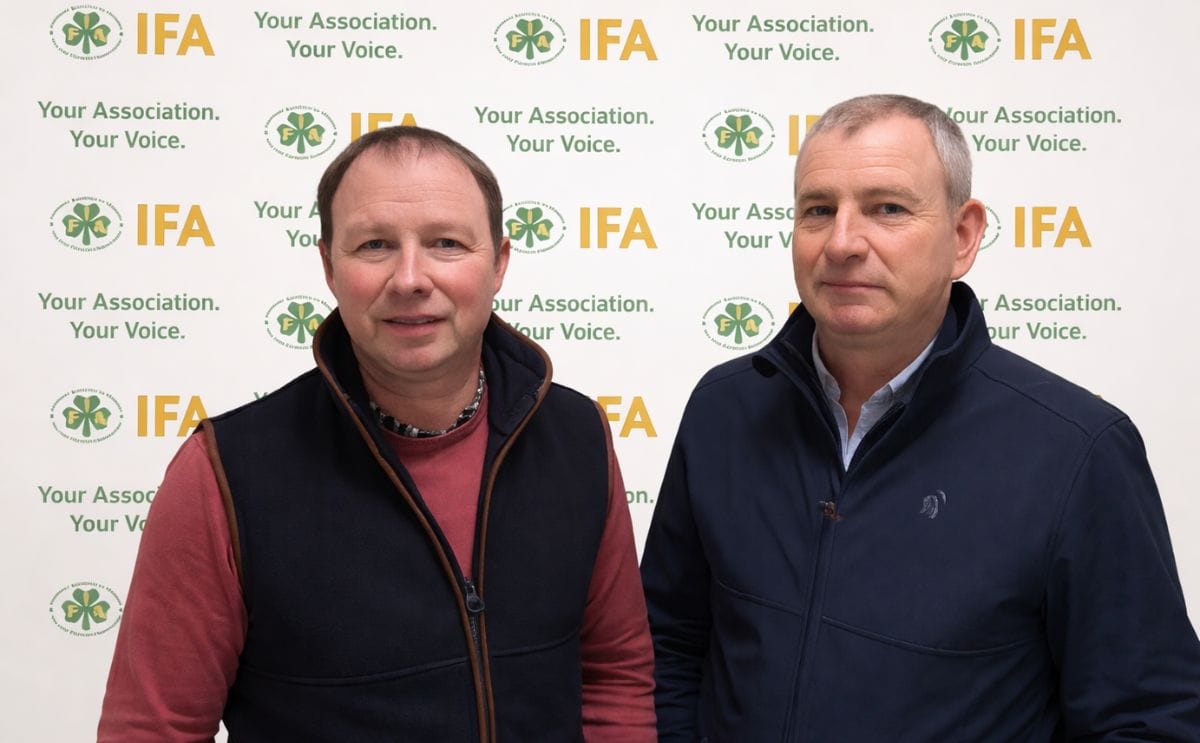 Jason O’Leary takes over leadership of the IFA Potato Committee during a challenging period for Ireland’s potato sector