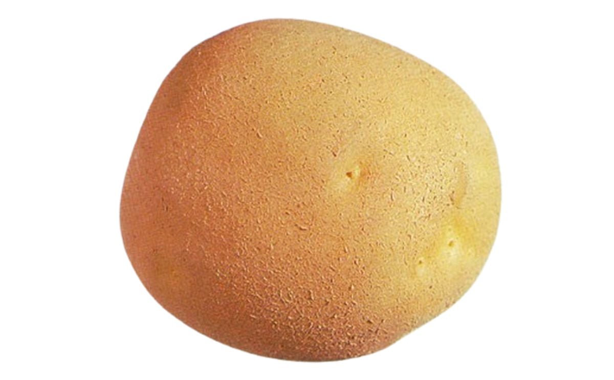 JEMSEG JEMSEG