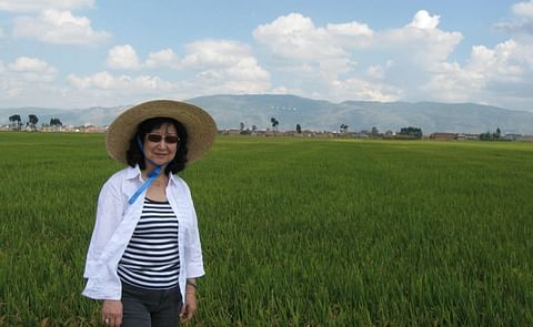 UAF scientist veers toward potato research when life brings a detour UAF scientist veers toward potato research when life brings a detour