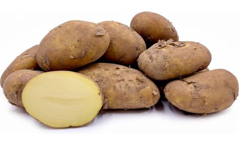 JERSEY ROYAL JERSEY ROYAL