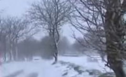 Farmers concerned about snow on Jersey Royal potato crop Farmers concerned about snow on Jersey Royal potato crop