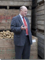 Potato blighted by ignorance