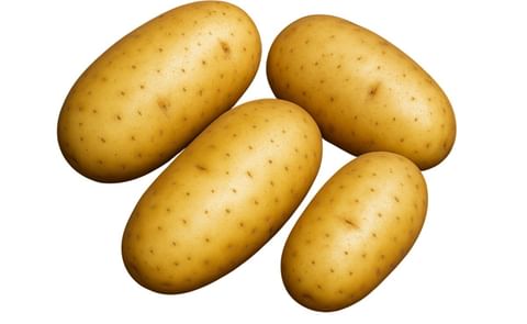 JIZHANGSHU JIZHANGSHU