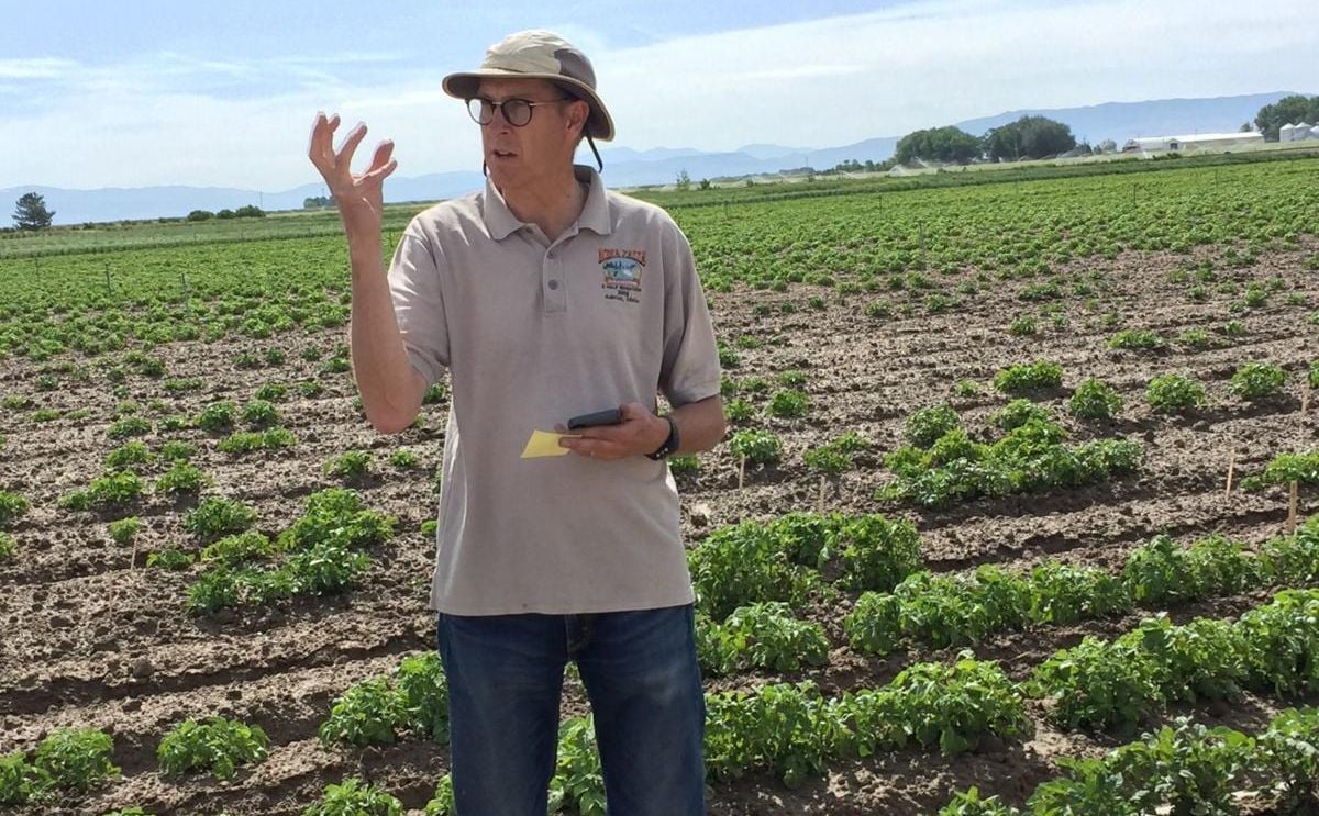 Ongoing research in Idaho targets PVY in search of solutions Ongoing research in Idaho targets PVY in search of solutions