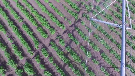 Jones Potato Farm has won the 2016 Ag Environmental Leadership Award Jones Potato Farm has won the 2016 Ag Environmental Leadership Award