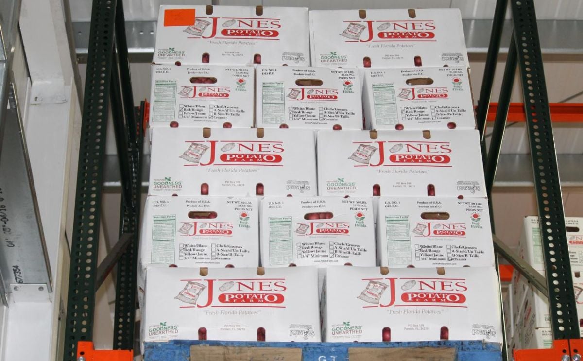 Potato Growers South Florida enjoy a good start of the season Potato Growers South Florida enjoy a good start of the season