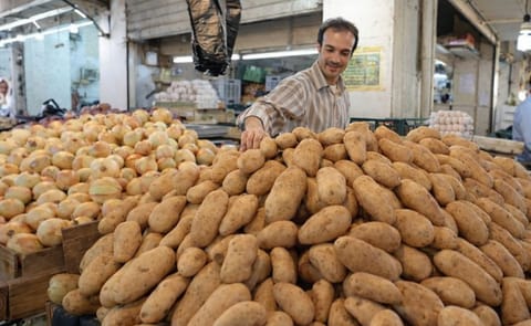 The potato market in Jordan needs a daily amount of 400 ton according to an official (Courtesy: Jordan Times; Osama Aqarbeh) The potato market in Jordan needs a daily amount of 400 ton according to an official (Courtesy: Jordan Times; Osama Aqarbeh)