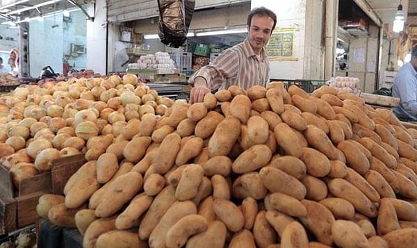 10,000 tonnes of potatoes blocked from entry into Jordan