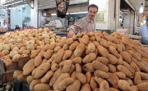 The potato market in Jordan needs a daily amount of 400 ton according to an official (Courtesy: Jordan Times; Osama Aqarbeh) The potato market in Jordan needs a daily amount of 400 ton according to an official (Courtesy: Jordan Times; Osama Aqarbeh)