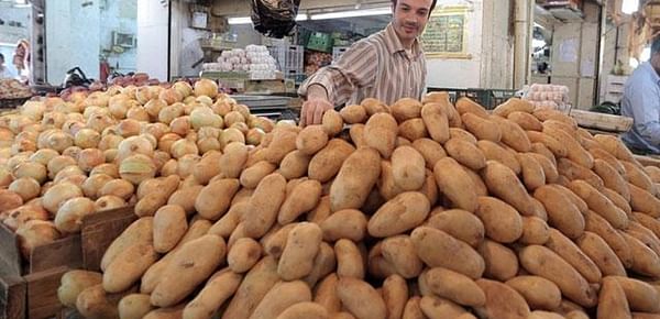 10,000 tonnes of potatoes blocked from entry into Jordan