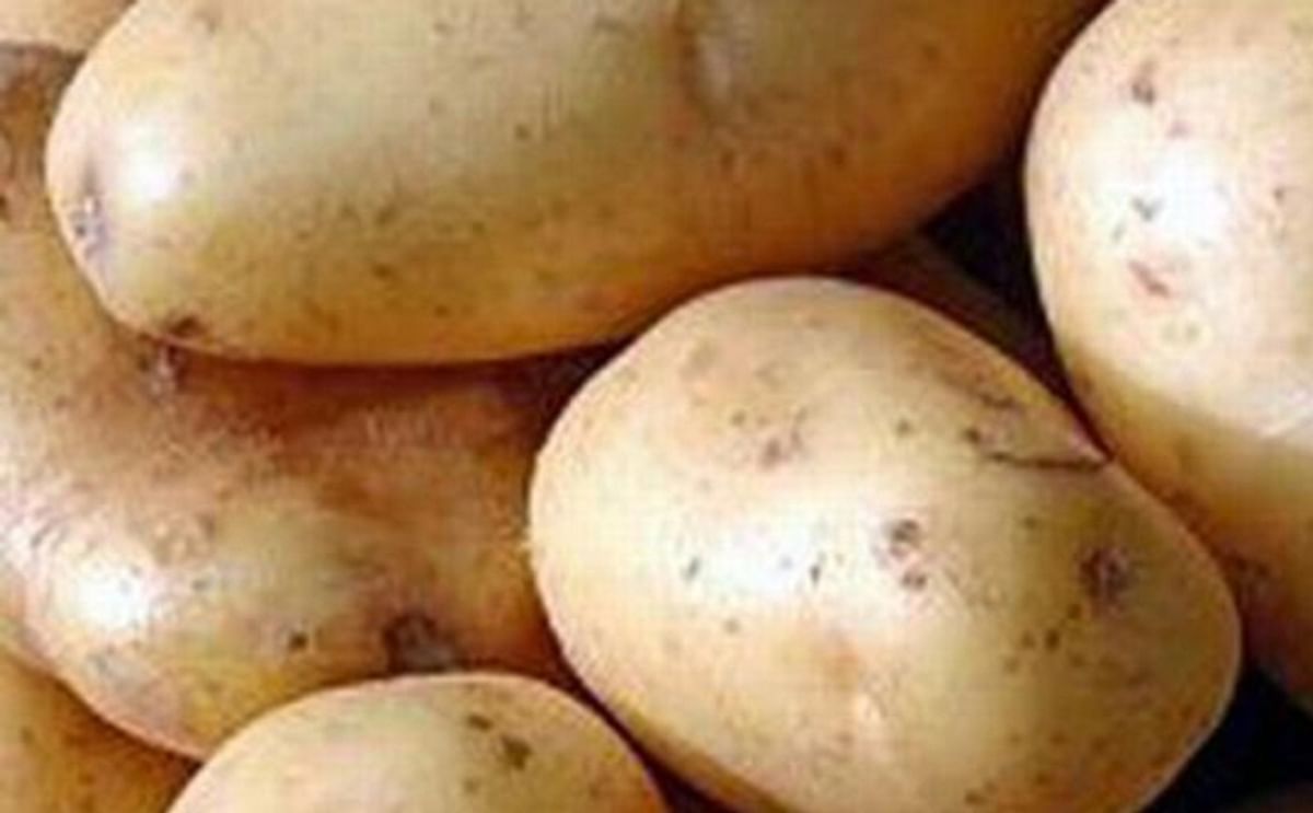 Jordan willing to regulate potato prices