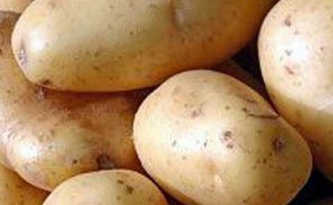 Jordan willing to regulate potato prices Jordan willing to regulate potato prices