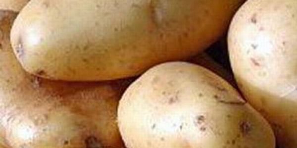 Jordan willing to regulate potato prices
