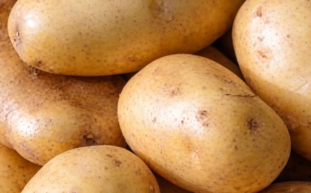 Jordan willing to regulate potato prices