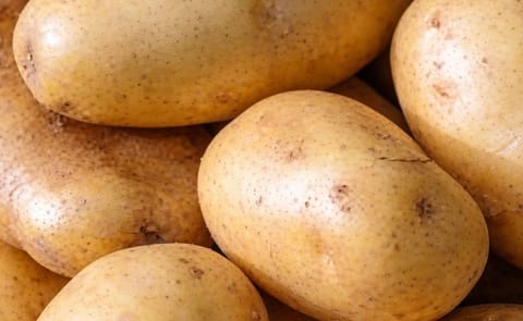 Jordan willing to regulate potato prices Jordan willing to regulate potato prices