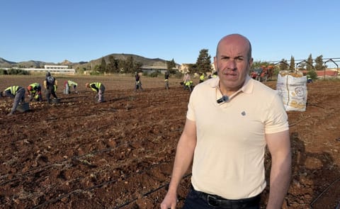José Beltrán destaca la resiliencia y la alta calidad de la patata temprana Soprano del Campo de Cartagena José Beltrán destaca la resiliencia y la alta calidad de la patata temprana Soprano del Campo de Cartagena