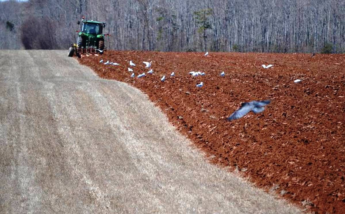 A tractor and plow turning sod in a field in Huntley prior to conditions turning wet. Conditions are putting planting season behind schedule. (Courtesy: Eric McCarthy | Journal Pioneer) A tractor and plow turning sod in a field in Huntley prior to conditions turning wet. Conditions are putting planting season behind schedule. (Courtesy: Eric McCarthy | Journal Pioneer)