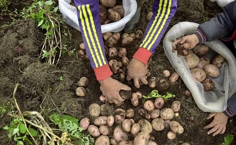 Jóvenes buscan combatir la hambruna en Colombia. Jóvenes buscan combatir la hambruna en Colombia.