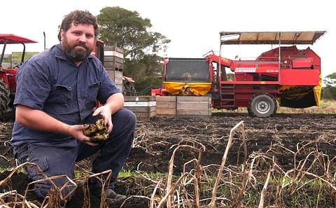 Julian Ackley risks losing his farm's profit for the year if rain doesn't clear up. (Courtesy: ABC - Angus Mackintosh).