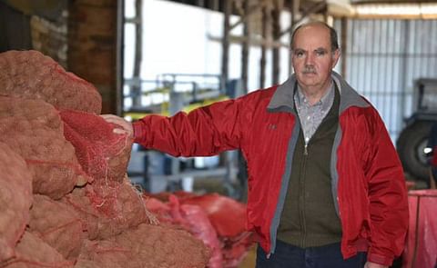 Instalan en Chile estación experimental para producir semilla de papa certificada Instalan en Chile estación experimental para producir semilla de papa certificada