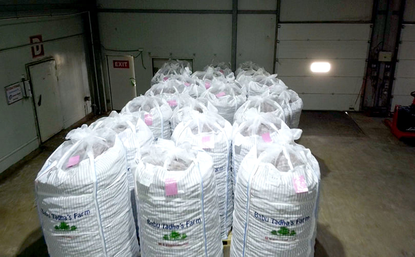 M S International jumbo potato bags M S International jumbo potato bags