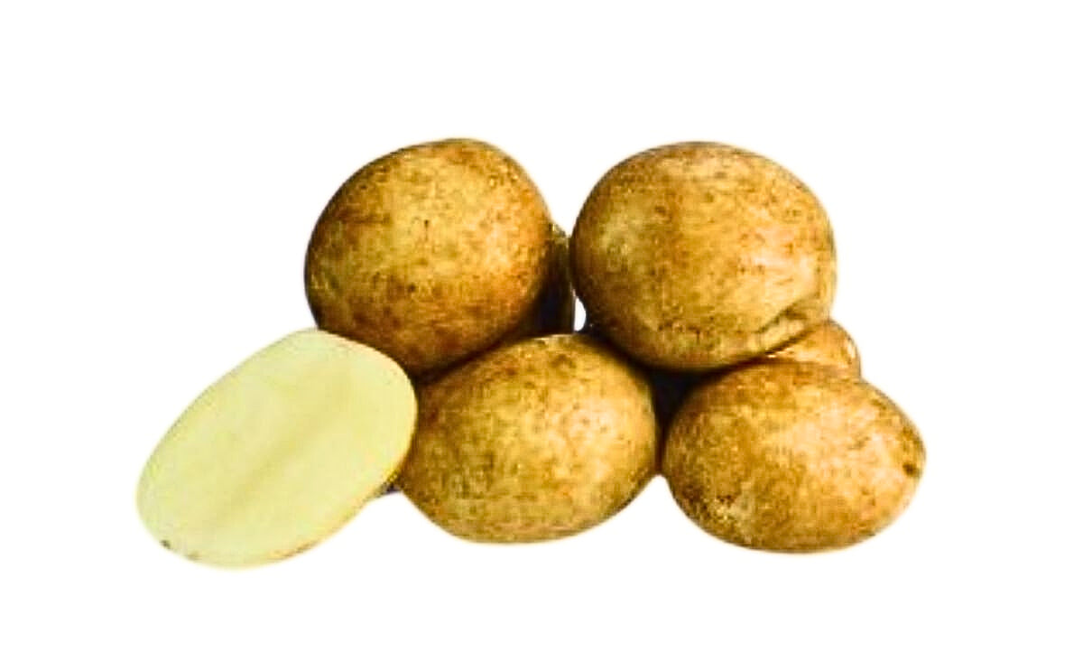 KARAKA KARAKA