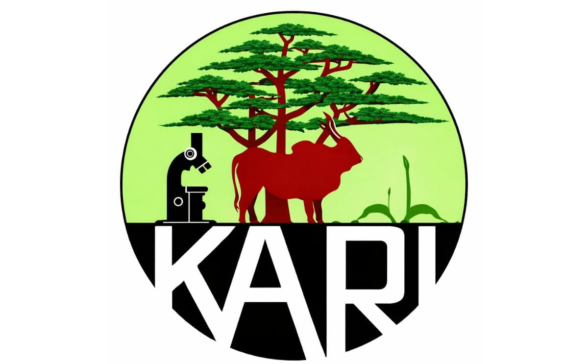 Potato farmers in Kenya oppose the import of seed potatoes