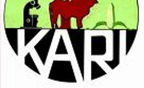 Investigadores muestran a los agricultores de Kenia los beneficios de la papa sobre el maíz Investigadores muestran a los agricultores de Kenia los beneficios de la papa sobre el maíz