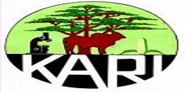  Instituto de Investigación Agrícola de Kenia (KARI)
