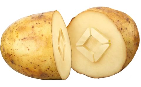 The life-cycle assessment currently study the product impact from cradle to gate, covering farmers, internal processing, and production input as shown here in KMC value chain The life-cycle assessment currently study the product impact from cradle to gate, covering farmers, internal processing, and production input as shown here in KMC value chain