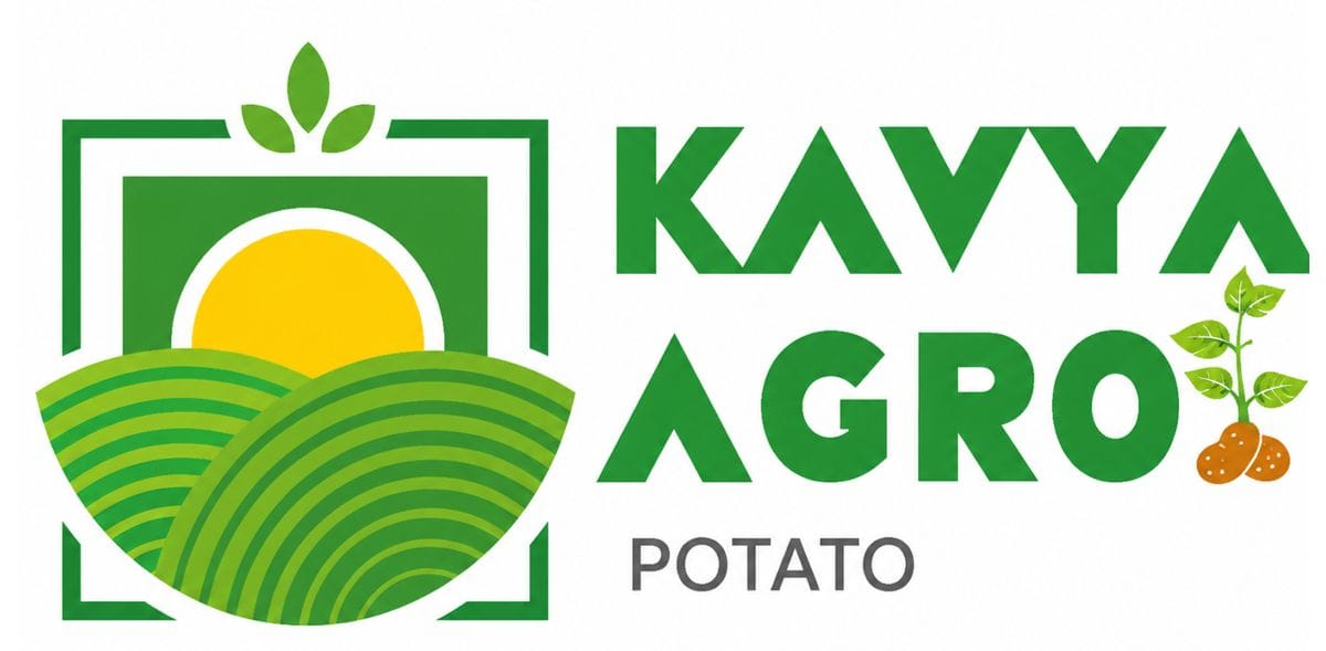 Kavya Agro Potato Seed Kavya Agro Potato Seed