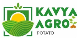 Kavya Agro Potato Seed