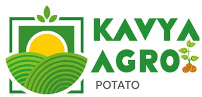 Kavya Agro Potato Seed Kavya Agro Potato Seed
