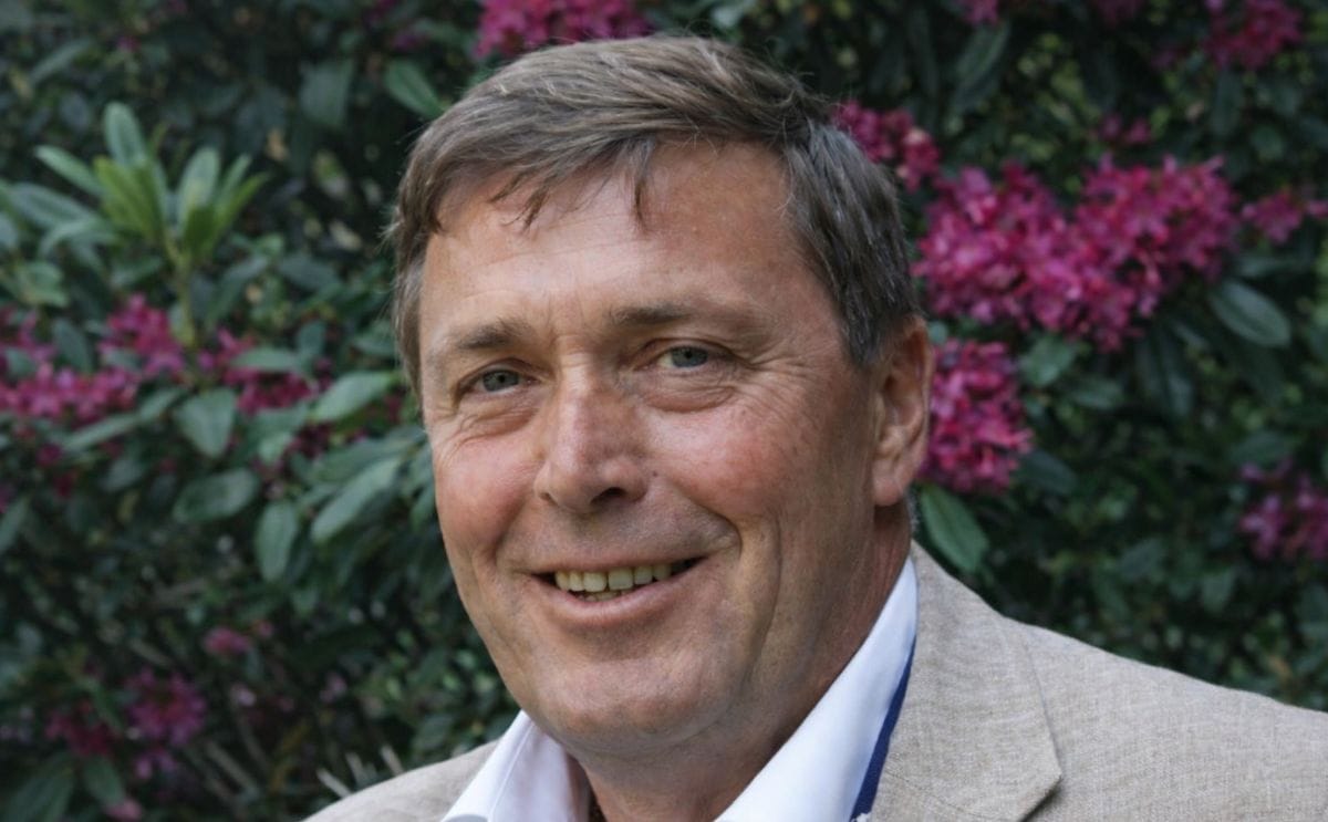 Frozen French Fries anyone?