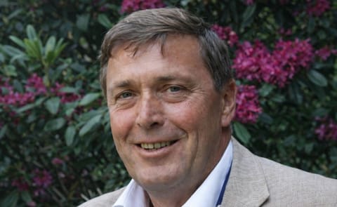 Frozen French Fries anyone? Frozen French Fries anyone?